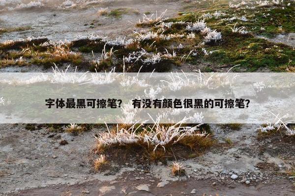 字体最黑可擦笔？ 有没有颜色很黑的可擦笔？