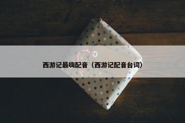 西游记最嗨配音（西游记配音台词）