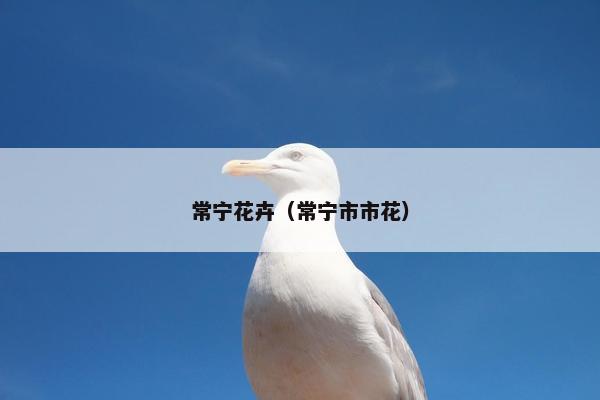 常宁花卉（常宁市市花）