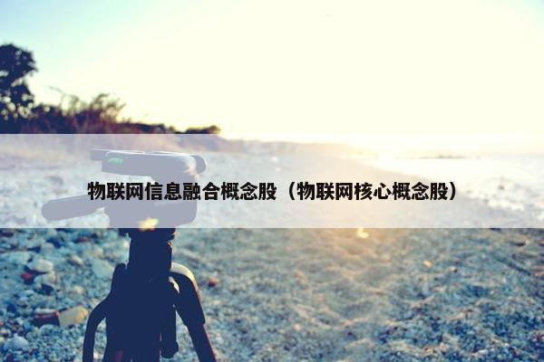 物联网信息融合概念股（物联网核心概念股）