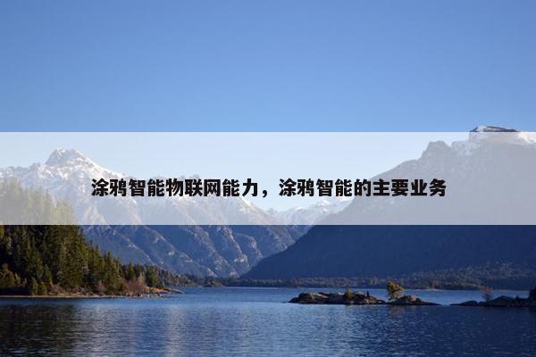 涂鸦智能物联网能力，涂鸦智能的主要业务