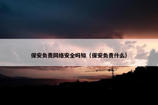 保安负责网络安全吗知（保安负责什么）