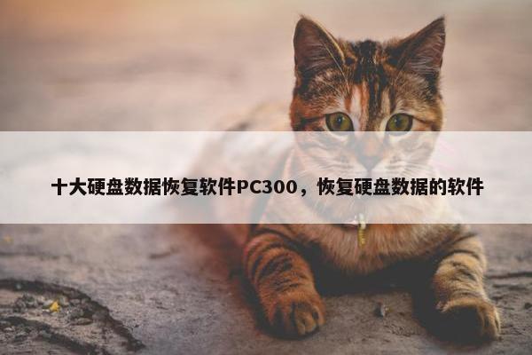 十大硬盘数据恢复软件PC300，恢复硬盘数据的软件