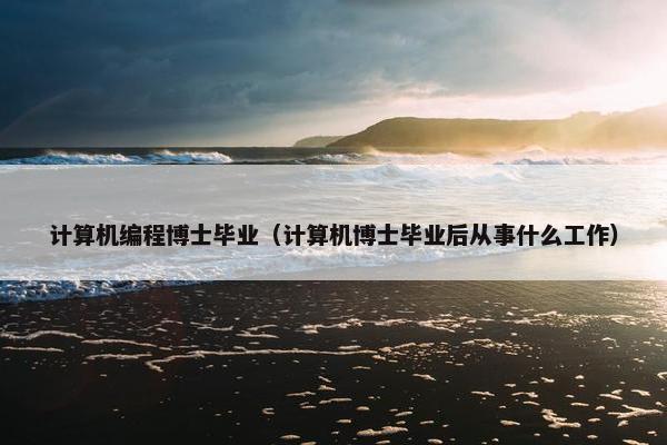 计算机编程博士毕业（计算机博士毕业后从事什么工作）