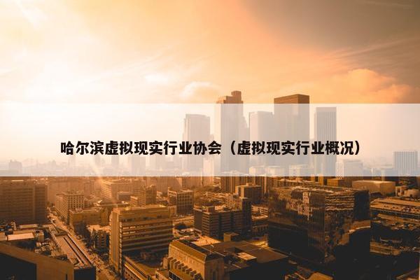 哈尔滨虚拟现实行业协会（虚拟现实行业概况）