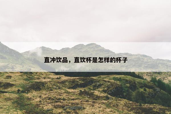 直冲饮品，直饮杯是怎样的杯子