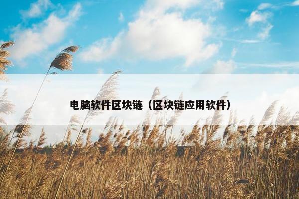 电脑软件区块链（区块链应用软件）