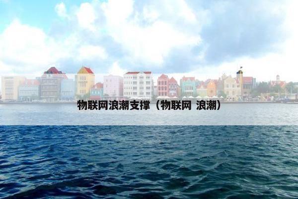 物联网浪潮支撑（物联网 浪潮）