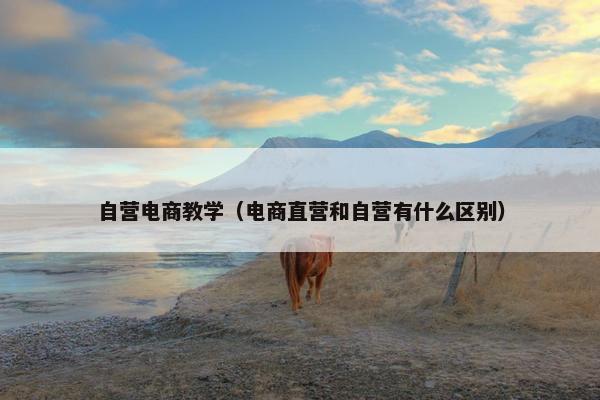 自营电商教学（电商直营和自营有什么区别）