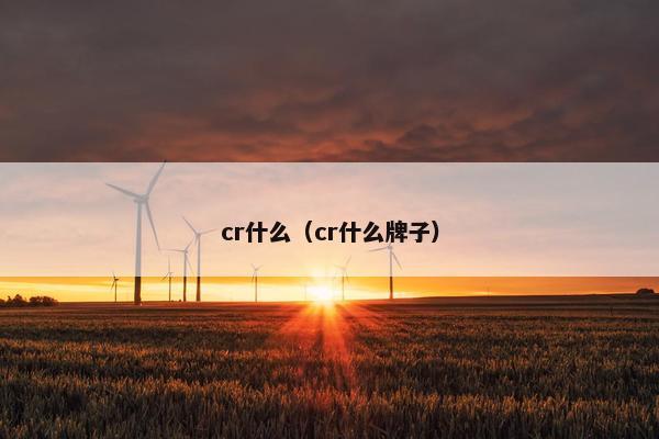 cr什么（cr什么牌子）