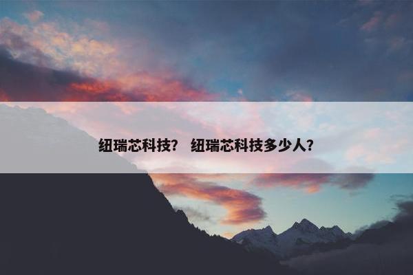 纽瑞芯科技？ 纽瑞芯科技多少人？