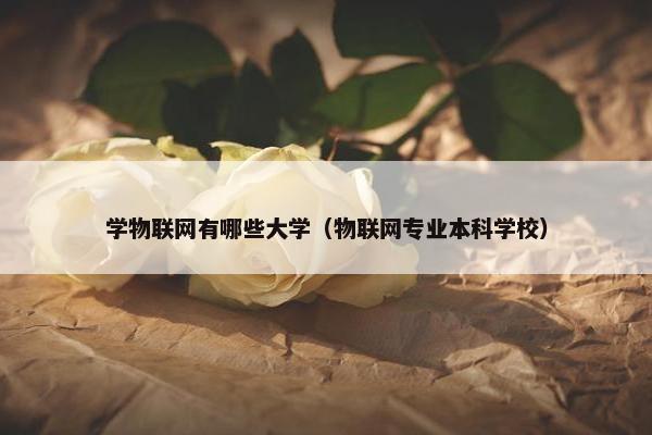 学物联网有哪些大学（物联网专业本科学校）