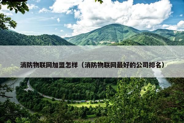 消防物联网加盟怎样（消防物联网最好的公司排名）