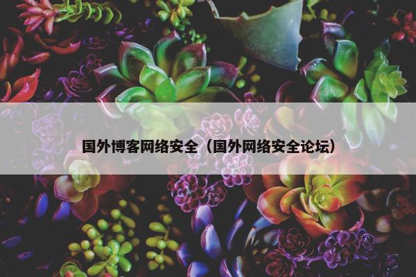 国外博客网络安全（国外网络安全论坛）