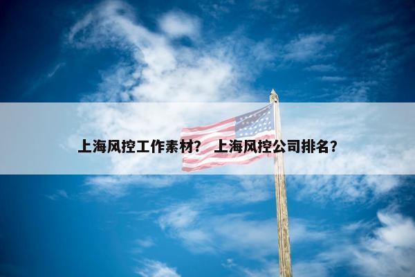 上海风控工作素材？ 上海风控公司排名？