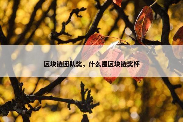 区块链团队奖，什么是区块链奖杯