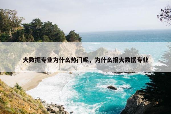 大数据专业为什么热门呢，为什么报大数据专业