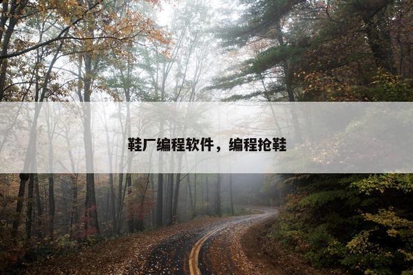 鞋厂编程软件，编程抢鞋
