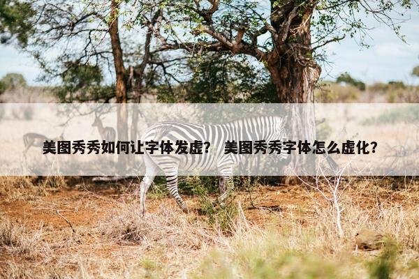 美图秀秀如何让字体发虚？ 美图秀秀字体怎么虚化？