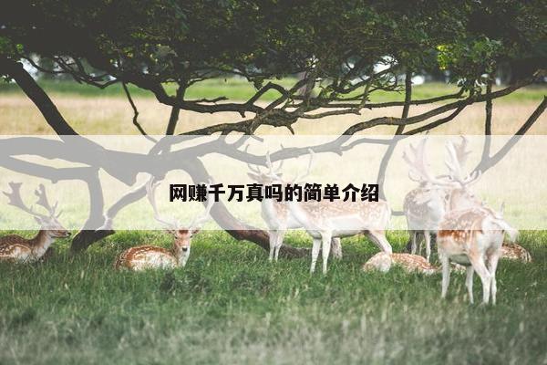 网赚千万真吗的简单介绍