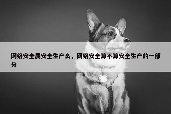 网络安全属安全生产么，网络安全算不算安全生产的一部分