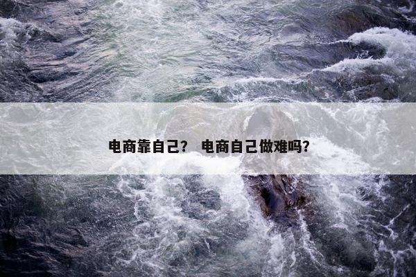 电商靠自己？ 电商自己做难吗？