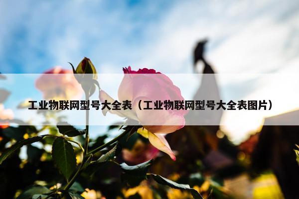 工业物联网型号大全表（工业物联网型号大全表图片）