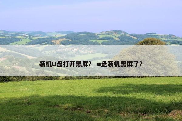 装机U盘打开黑屏？ u盘装机黑屏了？
