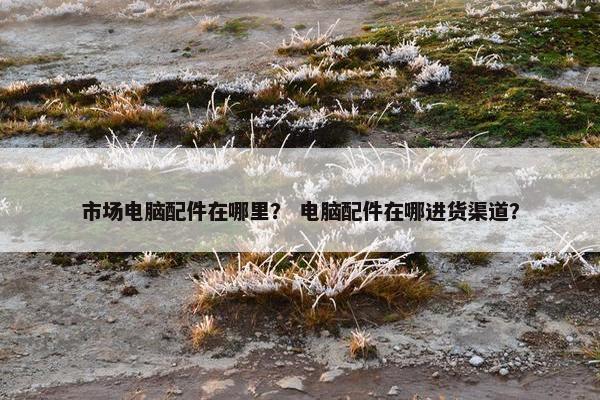 市场电脑配件在哪里？ 电脑配件在哪进货渠道？