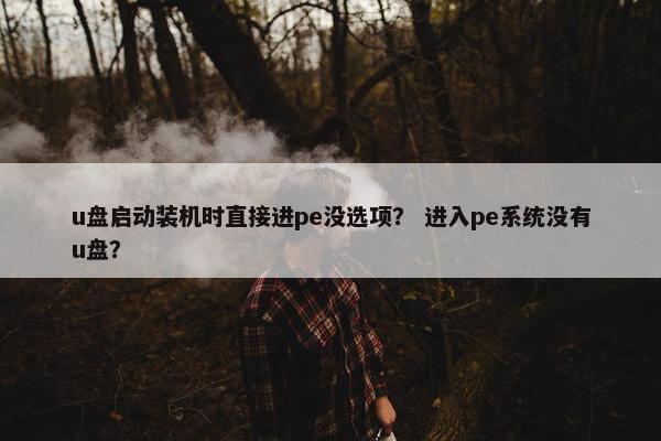 u盘启动装机时直接进pe没选项？ 进入pe系统没有u盘？