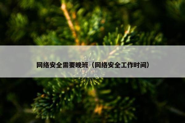网络安全需要晚班（网络安全工作时间）