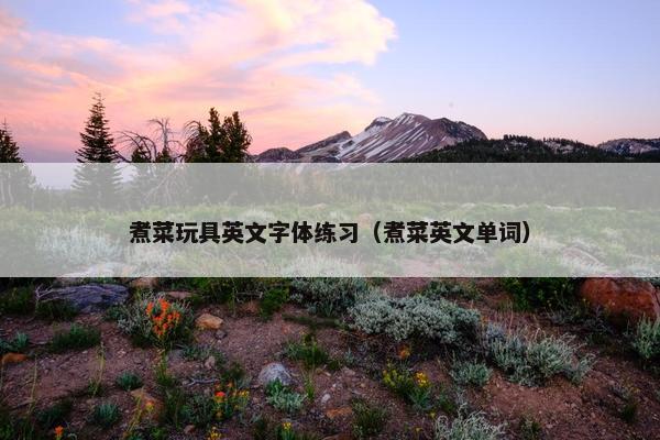 煮菜玩具英文字体练习（煮菜英文单词）