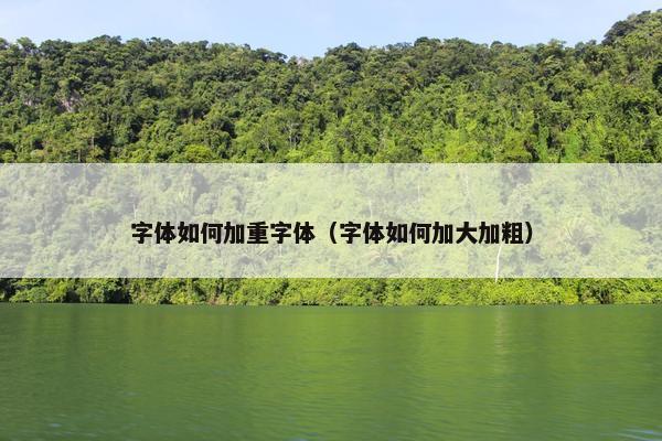 字体如何加重字体（字体如何加大加粗）