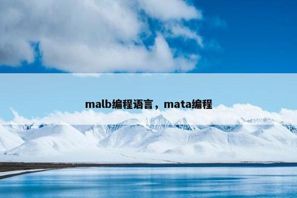 malb编程语言，mata编程