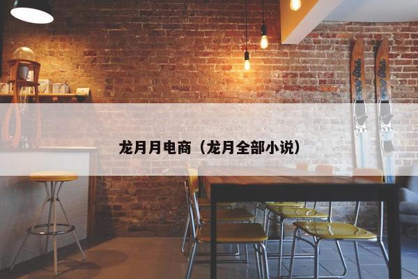龙月月电商（龙月全部小说）