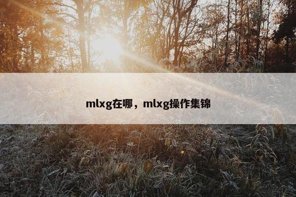 mlxg在哪，mlxg操作集锦