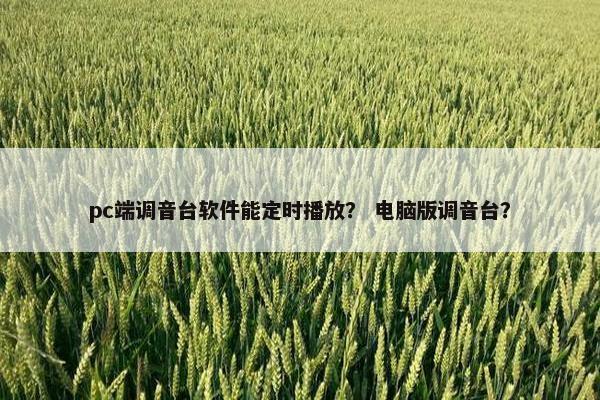 pc端调音台软件能定时播放？ 电脑版调音台？