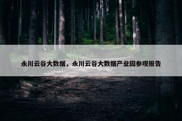 永川云谷大数据，永川云谷大数据产业园参观报告