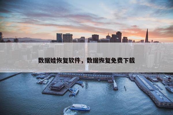 数据娃恢复软件，数据恢复免费下载