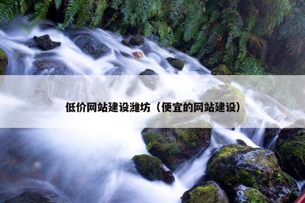 低价网站建设潍坊（便宜的网站建设）