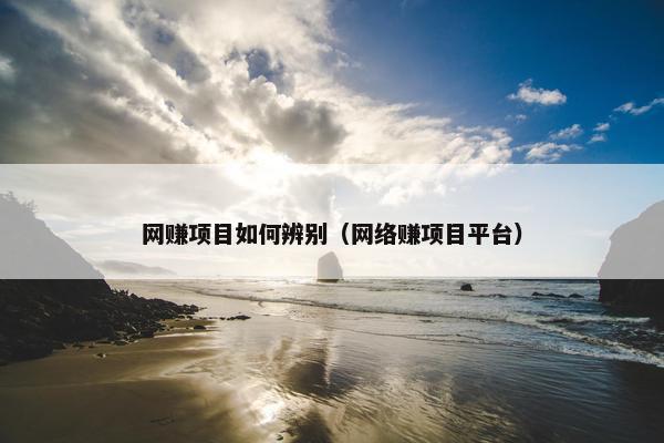 网赚项目如何辨别（网络赚项目平台）