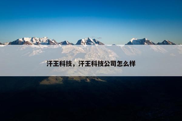 汗王科技，汗王科技公司怎么样