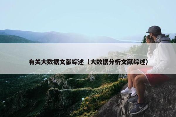 有关大数据文献综述（大数据分析文献综述）