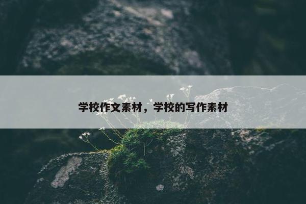 学校作文素材，学校的写作素材
