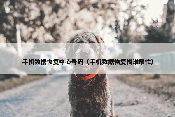 手机数据恢复中心号码（手机数据恢复找谁帮忙）