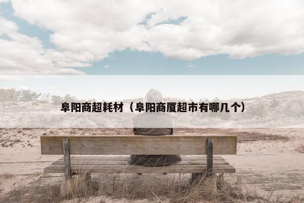 阜阳商超耗材（阜阳商厦超市有哪几个）