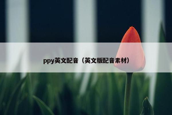 ppy英文配音（英文版配音素材）
