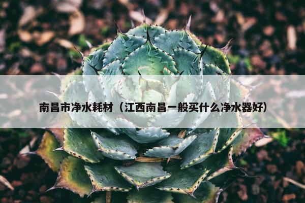 南昌市净水耗材（江西南昌一般买什么净水器好）