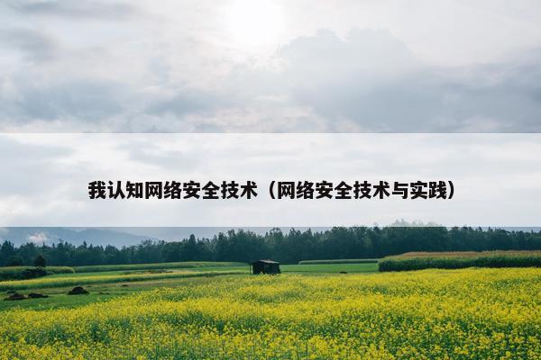 我认知网络安全技术（网络安全技术与实践）
