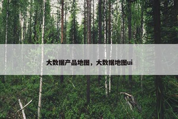 大数据产品地图，大数据地图ui
